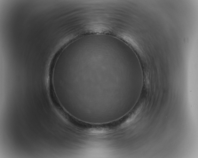 X0000089720630200707051721