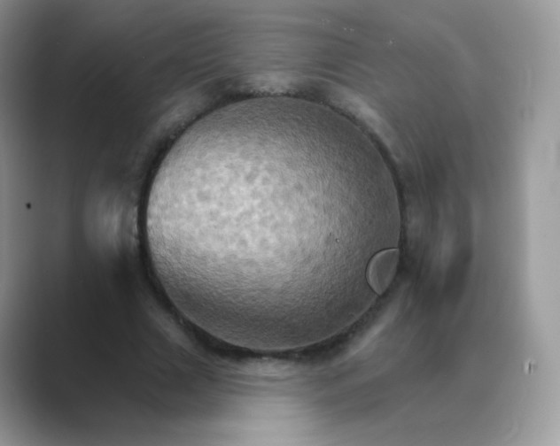 X0000089720633200707051721
