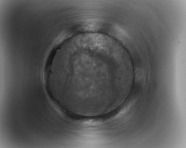 X0000089720634200707051721