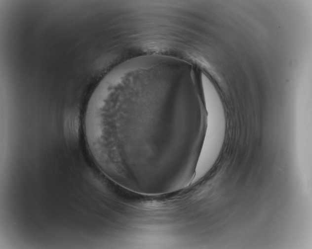 X0000089720637200707051721