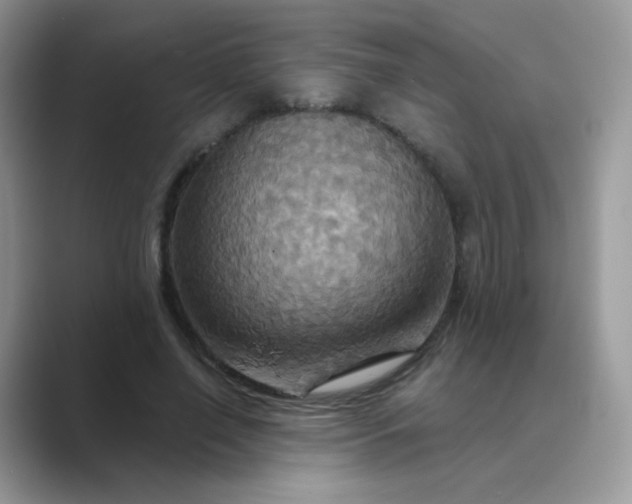 X0000089720638200707051721