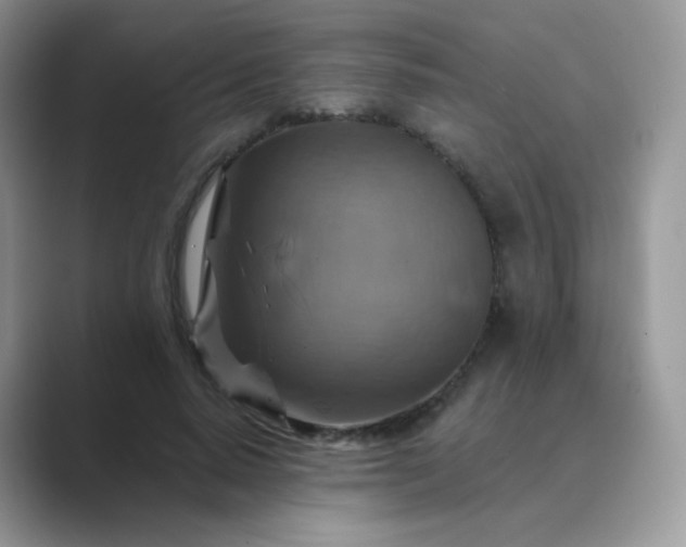 X0000089720640200707051721