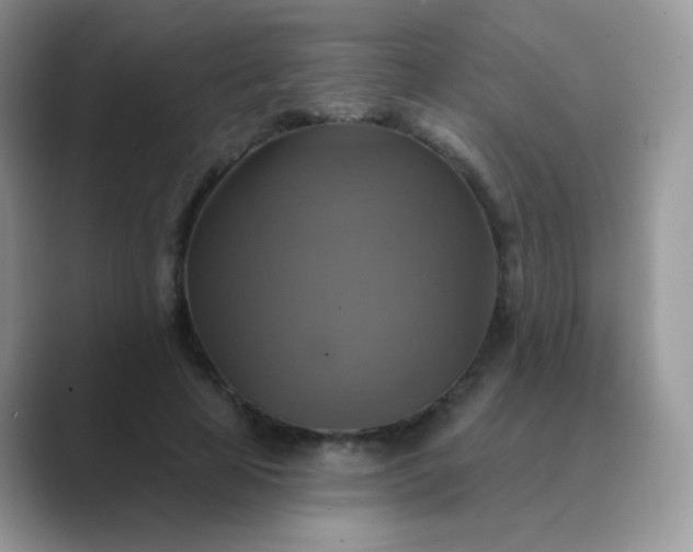 X0000089720641200707051721