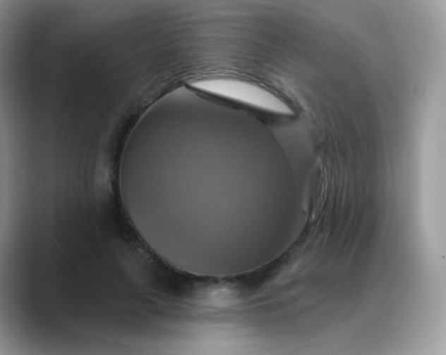 X0000089720643200707051721