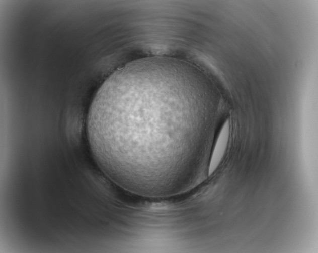 X0000089720645200707051721