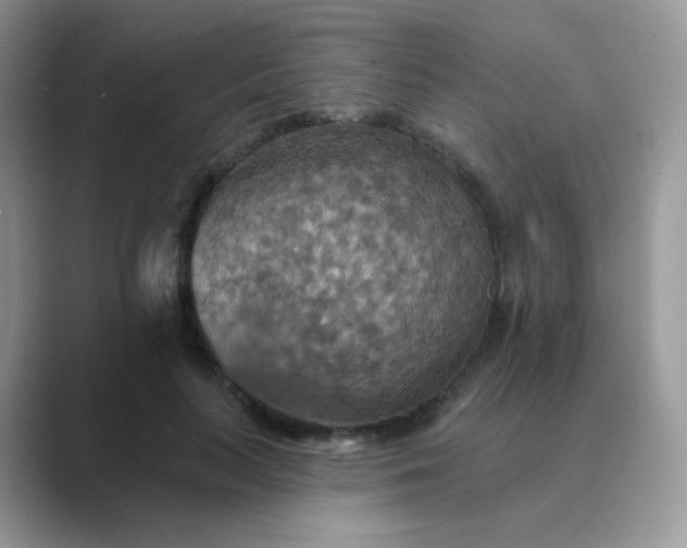 X0000089720647200707051721