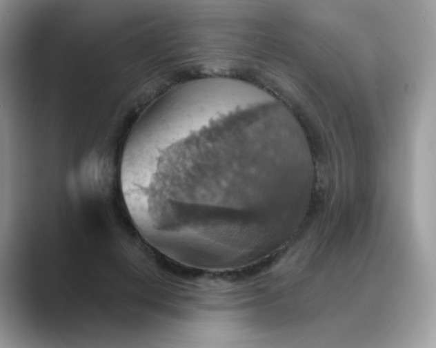 X0000089720648200707051721