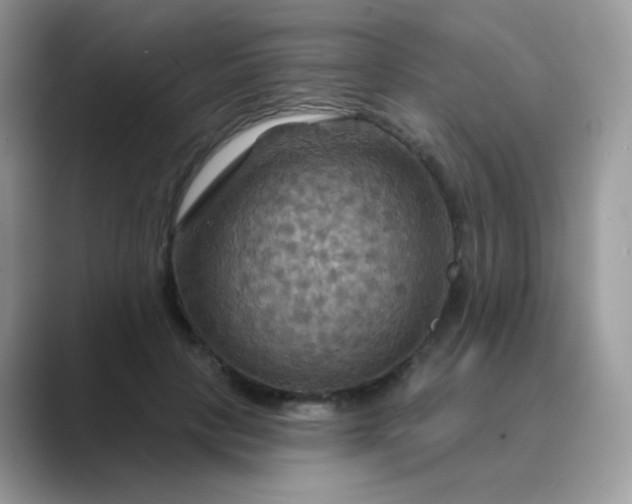 X0000089720649200707051721
