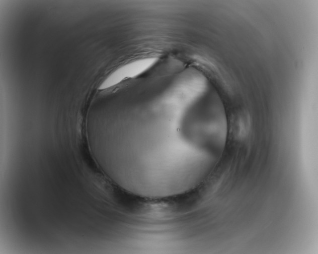 X0000089720650200707051721