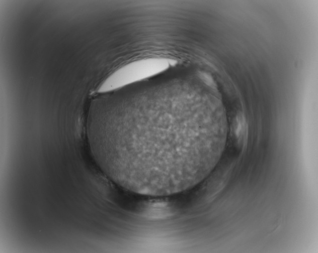 X0000089720651200707051721