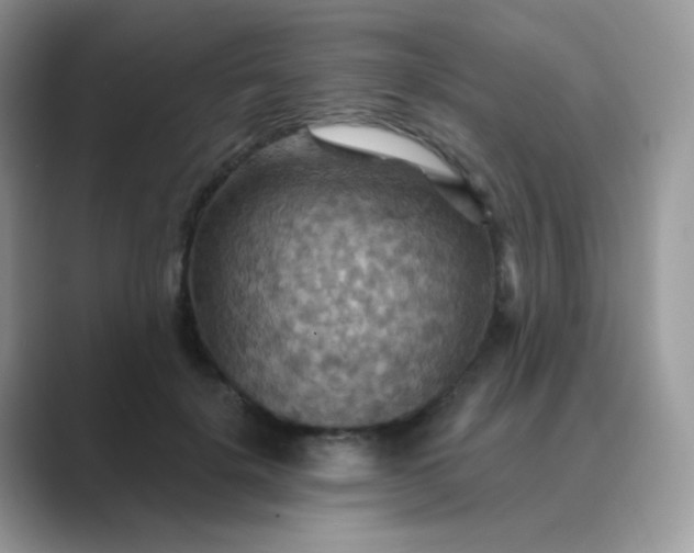 X0000089720652200707051721