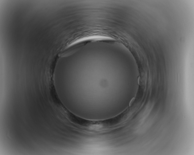 X0000089720653200707051721
