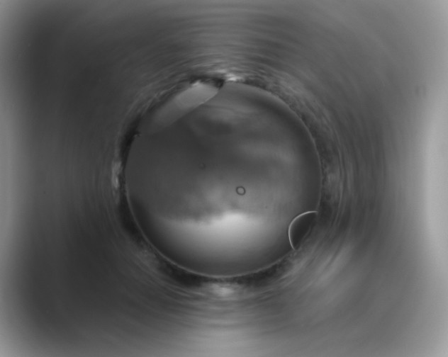 X0000089720654200707051721