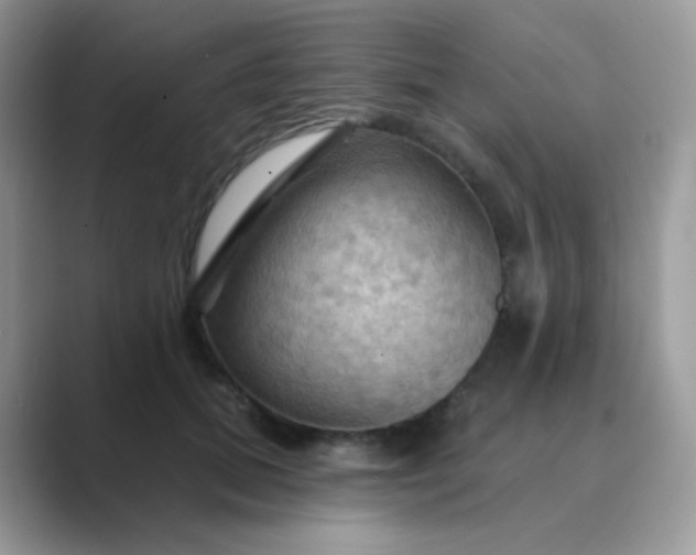 X0000089720655200707051721