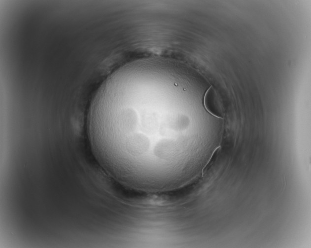 X0000089720656200707051721