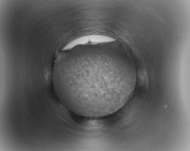X0000089720657200707051721