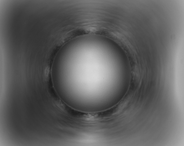 X0000089720660200707051721
