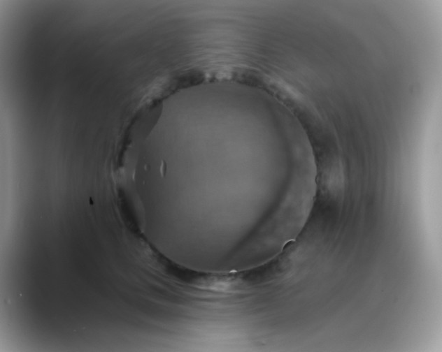 X0000089720661200707051721