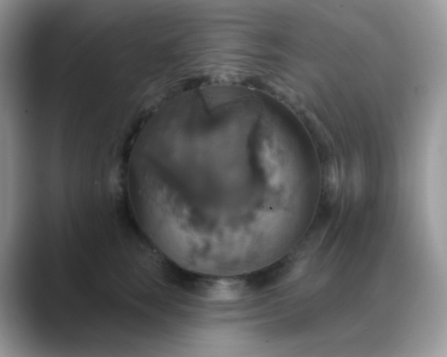 X0000089720663200707051721