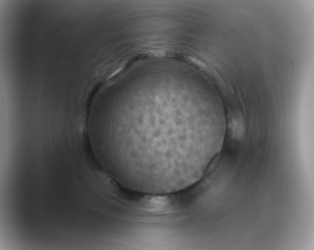 X0000089720665200707051721