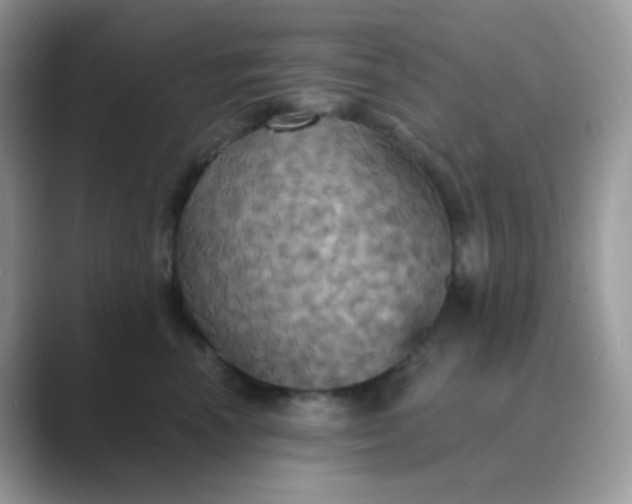X0000089720666200707051721