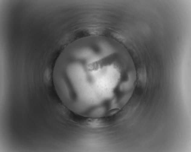 X0000089720667200707051721