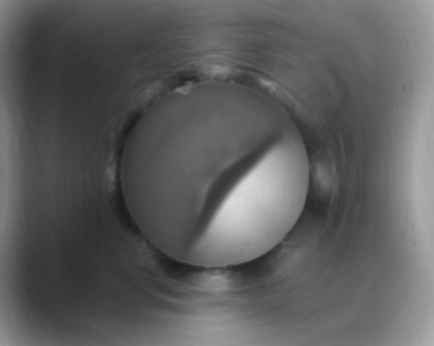 X0000089720668200707051721