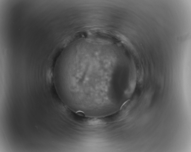 X0000089720669200707051721