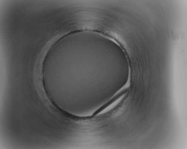 X0000089720673200707051721