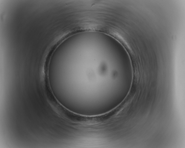 X0000089720674200707051721