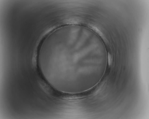 X0000089720675200707051721