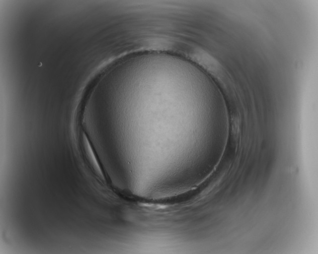 X0000089720676200707051721