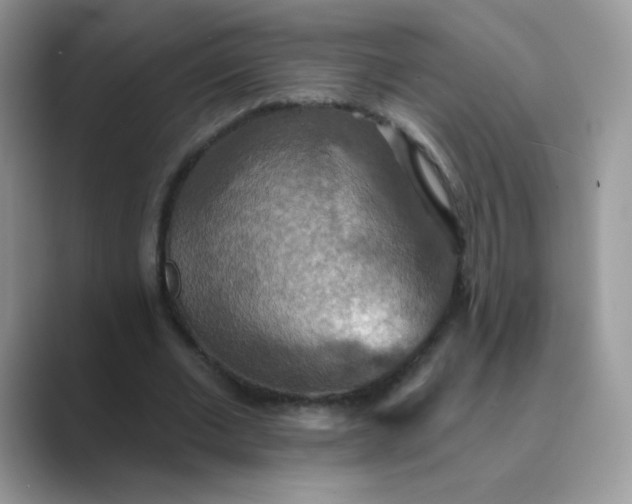 X0000089720677200707051721