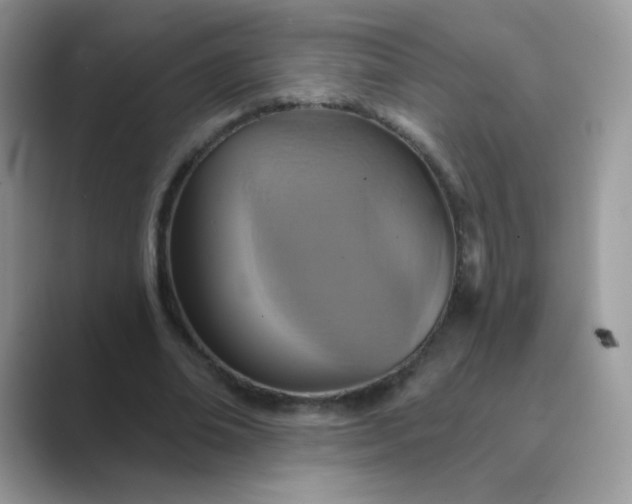 X0000089720678200707051721