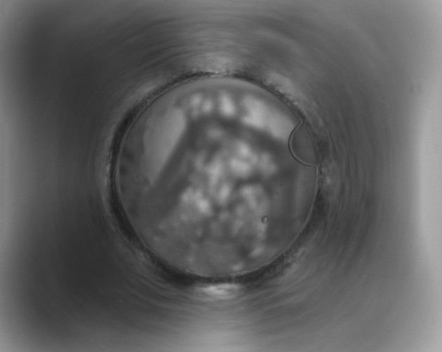 X0000089720679200707051720