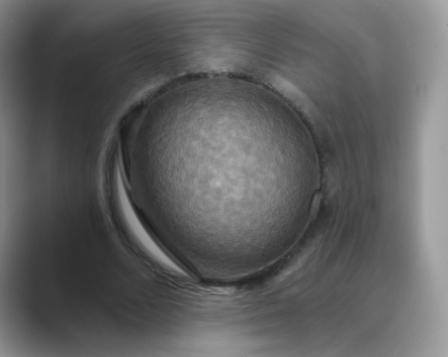 X0000089720680200707051720