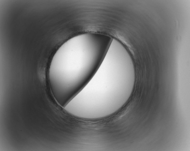X0000089720681200707051720