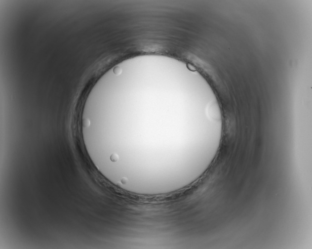 X0000089720682200707051720