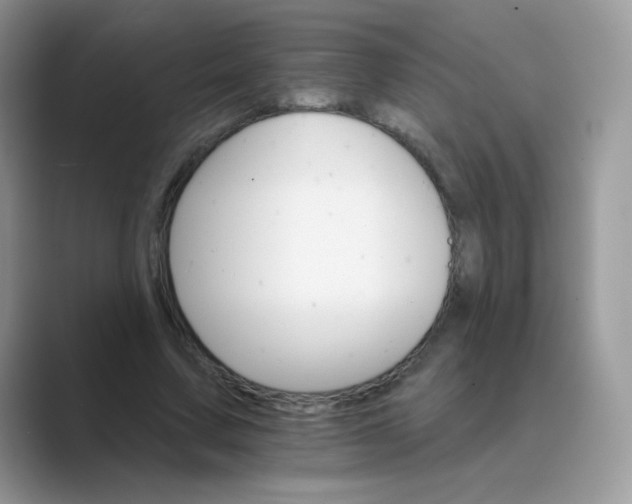 X0000089720683200707051720