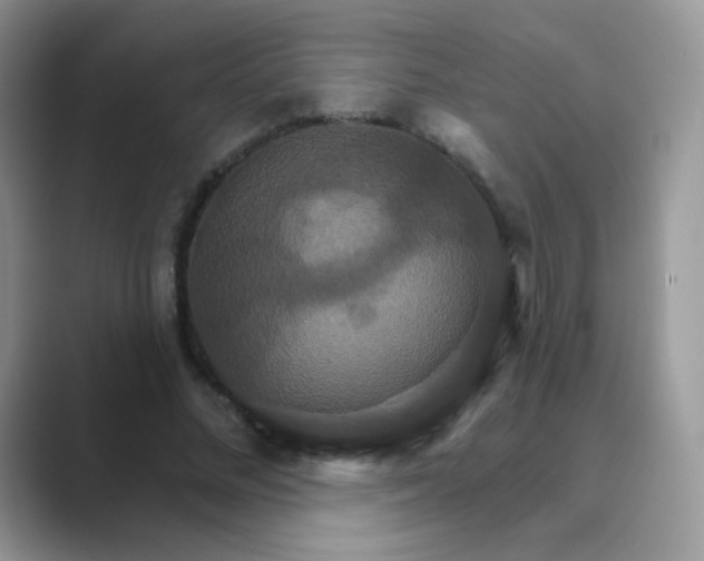 X0000089720684200707051720