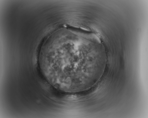 X0000089720687200707051720