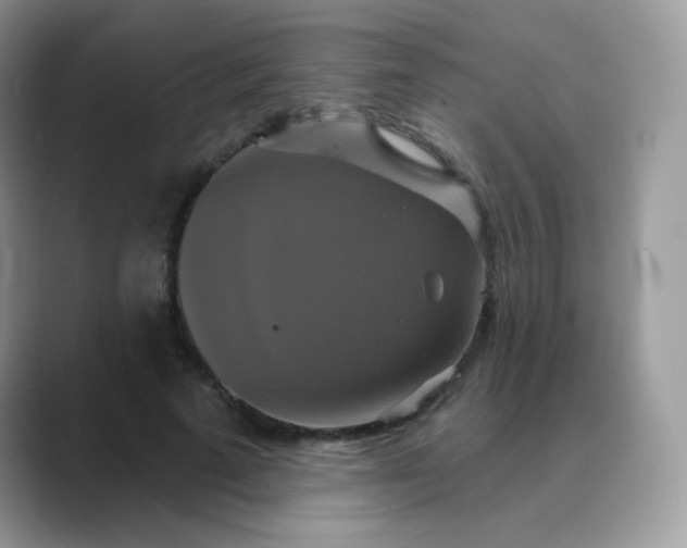 X0000089720689200707051720