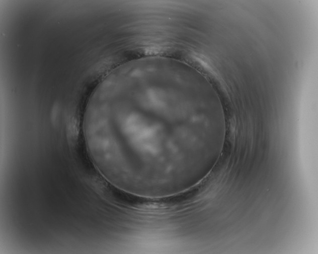 X0000089720691200707051720