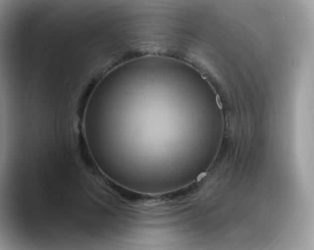 X0000089720692200707051720