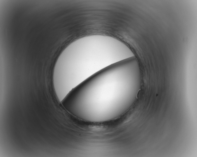 X0000089720693200707051720