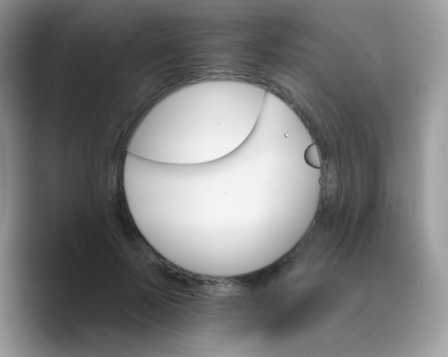X0000089720695200707051720