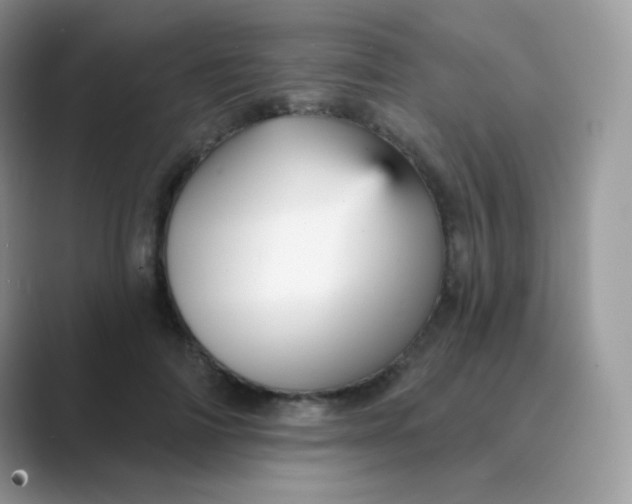 X0000089720698200707051720