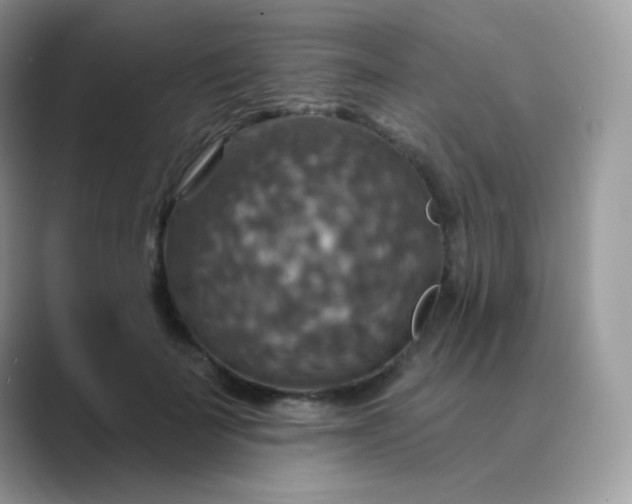 X0000089720699200707051720