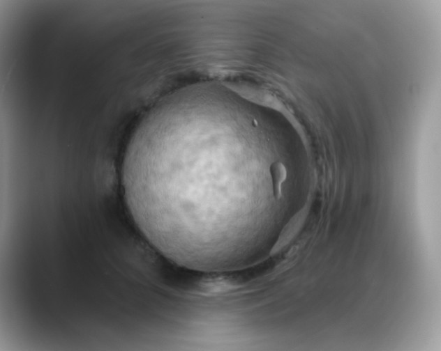 X0000089720704200707051720