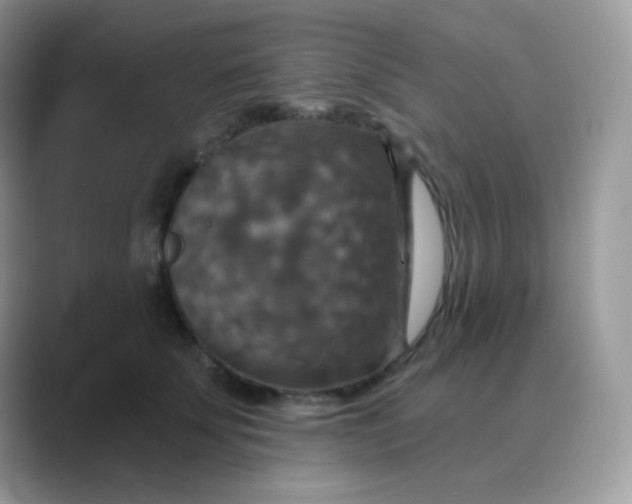 X0000089720707200707051720
